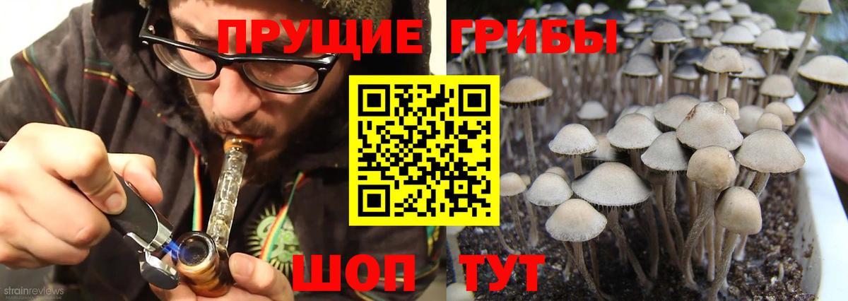Галлюциногенные грибы Psilocybe  Вход с VPN  Горячий Ключ 