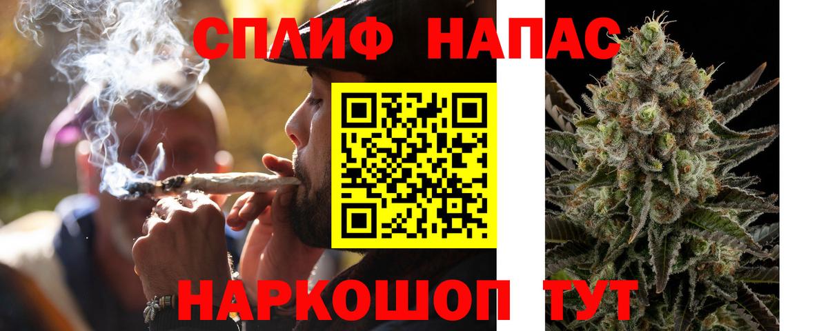 Конопля семена Горячий Ключ